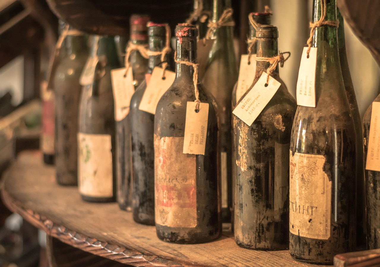 A historic vineyard in Mexico, representing centuries-old New World winemaking